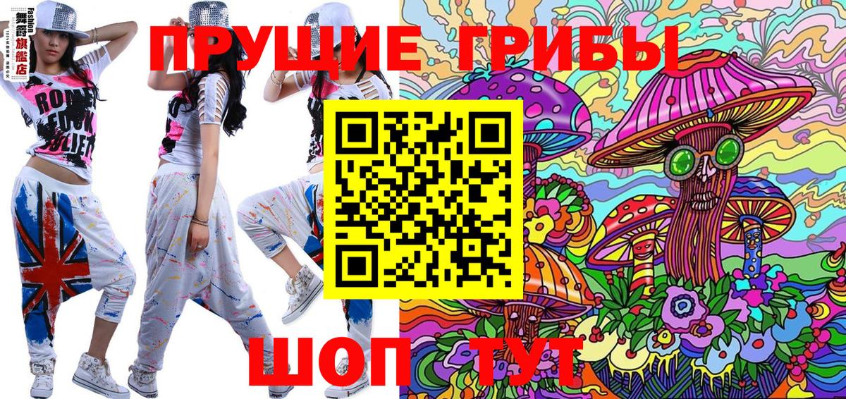 Галлюциногенные грибы Psilocybine cubensis Нарьян-Мар