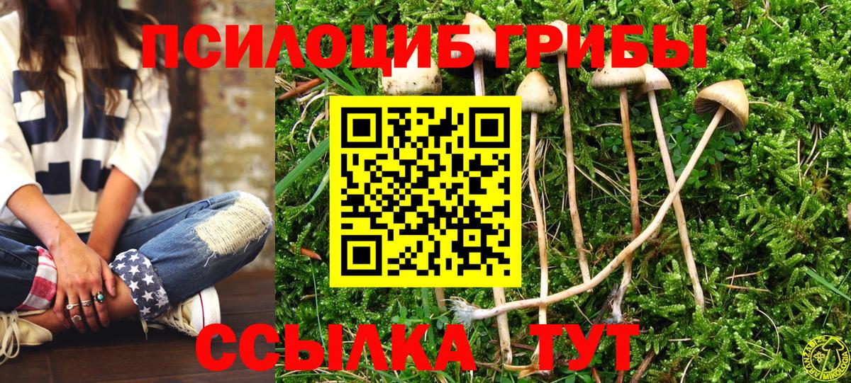 Псилоцибиновые грибы Cubensis  Вход с VPN  хочу   Нарьян-Мар 